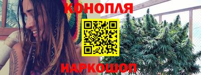 сатива Комсомольск-на-Амуре